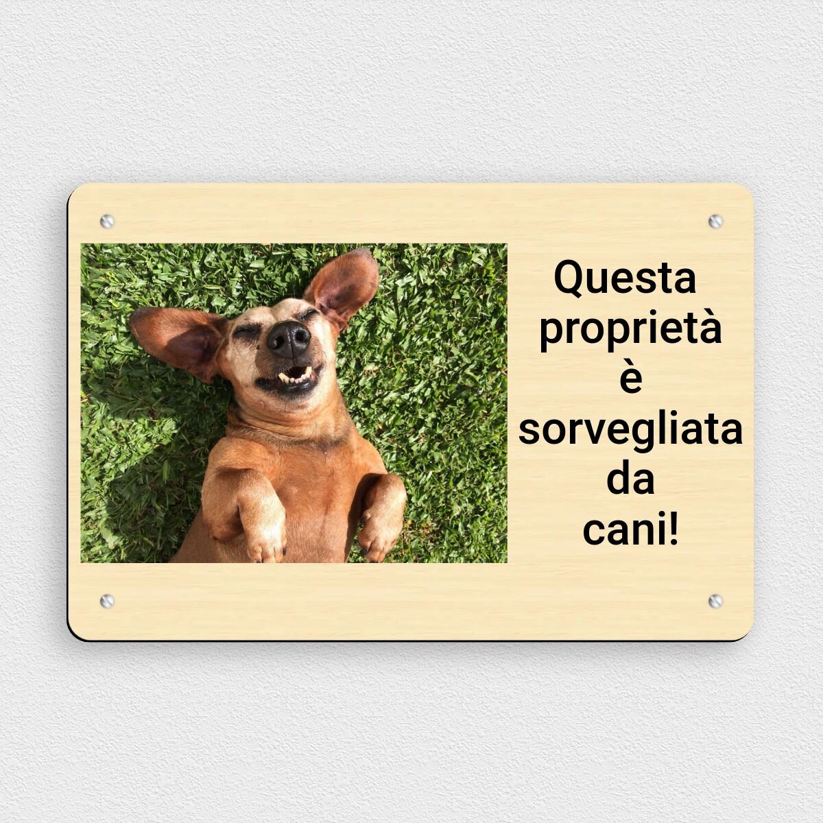 Pets-easy - Targhetta con scritta Attento au cane levriero Galgo